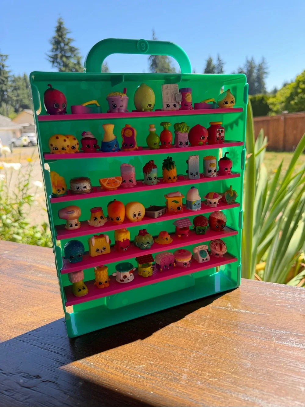 Shopkins Green Carry Case with Pink Shelves - Collectible Display 53 toys
